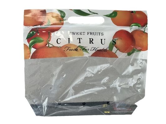 Individuelle Lebensmittelverpackung Stand-up Reißverschlussbeutel für Obst mit Loch